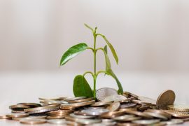 money-coins-finance-3382555.jpg money-coins-finance-3382555.jpg